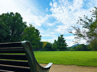 公園のベンチと木々と青空