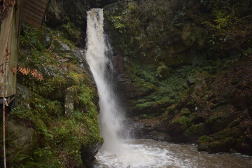 Obraz premium 壬生沢不動滝