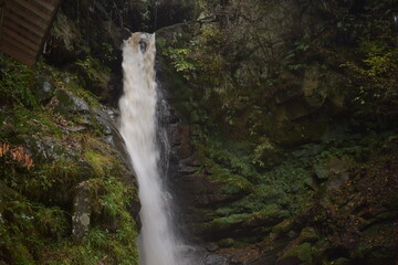 Obraz premium 壬生沢不動滝