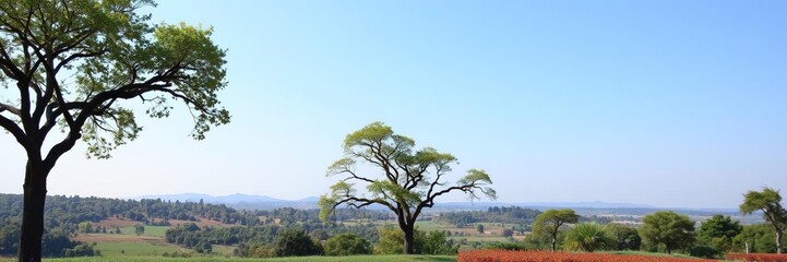 Fototapeta premium Lush green land with a dense tree landscape in the background, green, scenery