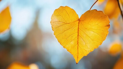 Obraz premium yellow leaf with heart autumn season long panoramic photo of blurred background golden leaves 