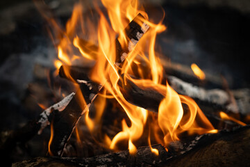 orange flames of a campfire © jarizPJ