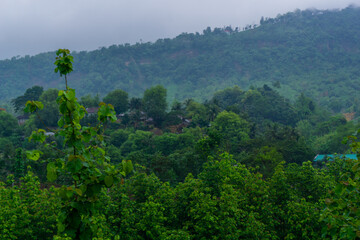 Fototapeta premium Beautiful scenery of small villages in the hills of Bandarban. Aerial view of a beautiful hilly landscape in Bandarban, Bangladesh. Bandarban Hills is a tourist spot in Bangladesh. 