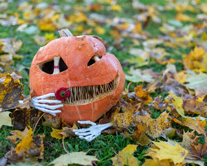 beautiful Halloween pumpkin, carved pumpkin for Halloween celebration