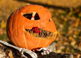 beautiful Halloween pumpkin, carved pumpkin for Halloween celebration