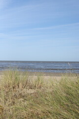 dunes and sea