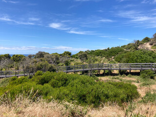 view of walkway at Adventure Bay on Bruny island neck nature reserve