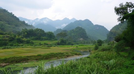 natural scenery