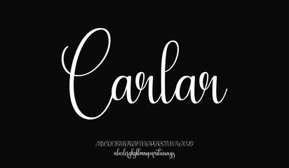 Signature Font Calligraphy Logotype Script Brush Font Type Font lettering handwritten
