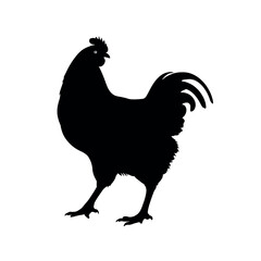 A chicken silhouette isolated white background