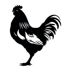 A chicken silhouette isolated white background