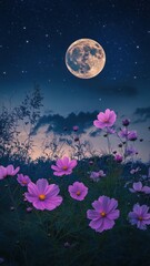 Fototapeta premium Full moon and Pink Cosmos flower blooming in midnight,The harvest Miscanthus sinensis and full moon,beautiful night sky in the countryside with the perfect moon exudes beauty in the dark.