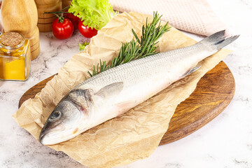 Raw seabass fish for cooking