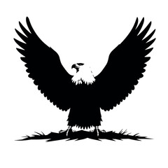 Obraz premium a Golden eagle sitting on the ground silhouette