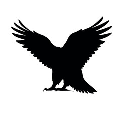 Obraz premium a Golden eagle sitting on the ground silhouette