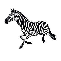 a running zebra animal vector silhouette isolated white background