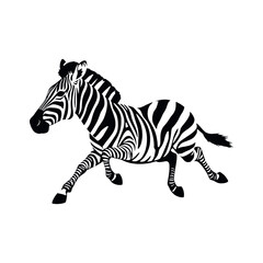 a running zebra animal vector silhouette isolated white background