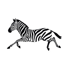 a running zebra animal vector silhouette isolated white background