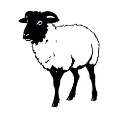 a sheep vector silhouette, stylish pose, fill with black colour isolated white background