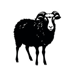 a sheep vector silhouette, stylish pose, fill with black colour isolated white background