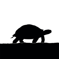 a turtle walking on the ground silhouette isolated white background