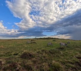 Obraz premium Landscape of Masai Mara on a cloudy day