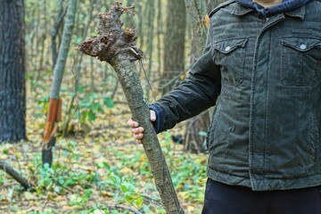one aggressive man in stylish black jacket and pants holds heavy long grey wooden stick in his hand at side before attacking in daytime in forest