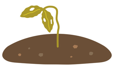 虫食いのある萎れた病気の植物