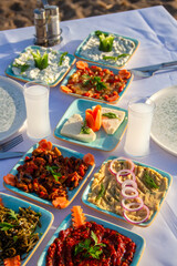 Glass of Raki and Appetizers