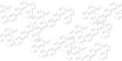 Abstract background with hexagon, modern abstract vector polygonal pattern. Futuristic abstract honeycomb technology white background. Luxury white hexagon pattern.