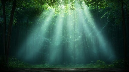 Obraz premium Sunlight streams through lush forest canopy illuminating nature's beauty and serenity