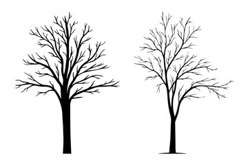 Vector bare tree. black tree without leaves
A surreal illustration of a woman tree  