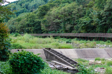 beautiful scenery in daegu south korea