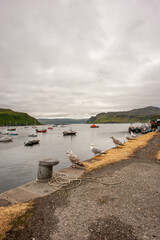 Portree harbourside, Isle of Skye, Scotland.