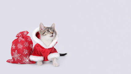 Cat in Santa costume. Christmas Cat card. Kitten on the white background. Concept of adorable little pets. Kitten Santa Claus. Merry Christmas. Happy New Year. Winter. Copy space. 2025