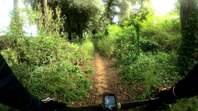 Riding a mountain bike, rider point of view between trees in a beautiful landscape trail in Girona forest, Catalonia