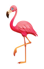 Flamingo cartoon vector illustration isolated on white background