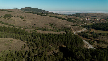 Naklejka premium A winding paved road among a coniferous green forest in autumn in the mountains of Western Serbia, near Zlatibor. Aerial drone view shot. Scenic landscape view of a mountainous region.