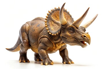Triceratops dinosaur isolated on white background in wide-angle shot