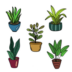 Green houseplants elements