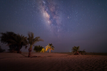  beautiful night Stars milky way motion at desert sand dune oasis palm date tree wild camping tent