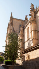 Cathedral of the city of Segovia (Spain)