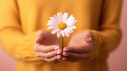 Person holding a delicate daisy flower in gentle hands, showcasing beauty and care.