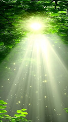 Obraz premium Sunbeams shining through leaves in a forest.