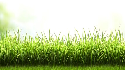 Obraz premium Green Grass Border For Nature Background Light Gradient Background with Room for Typography