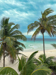 Obraz premium Serene Tropical Coastline with Blue Ocean, Palm Trees, and Sandy Beach in Thailand, Koh Samui