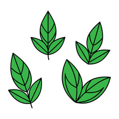A set of green leaves and leaves free download