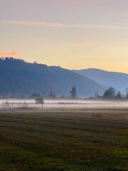 Landscape in Sunset with light sea of fog

