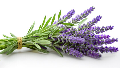 Naklejka premium Lavender Leaves isolated white background