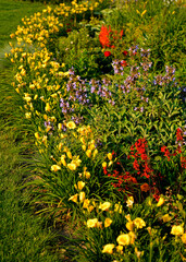 kolorowa rabata kwiatowa otoczona niskimi liliowcami odmiany Stella d'Oro, kwietnik otoczony obwódką z żółtych liliowców, Hemerocallis, Stella D'Oro Daylily Garden
